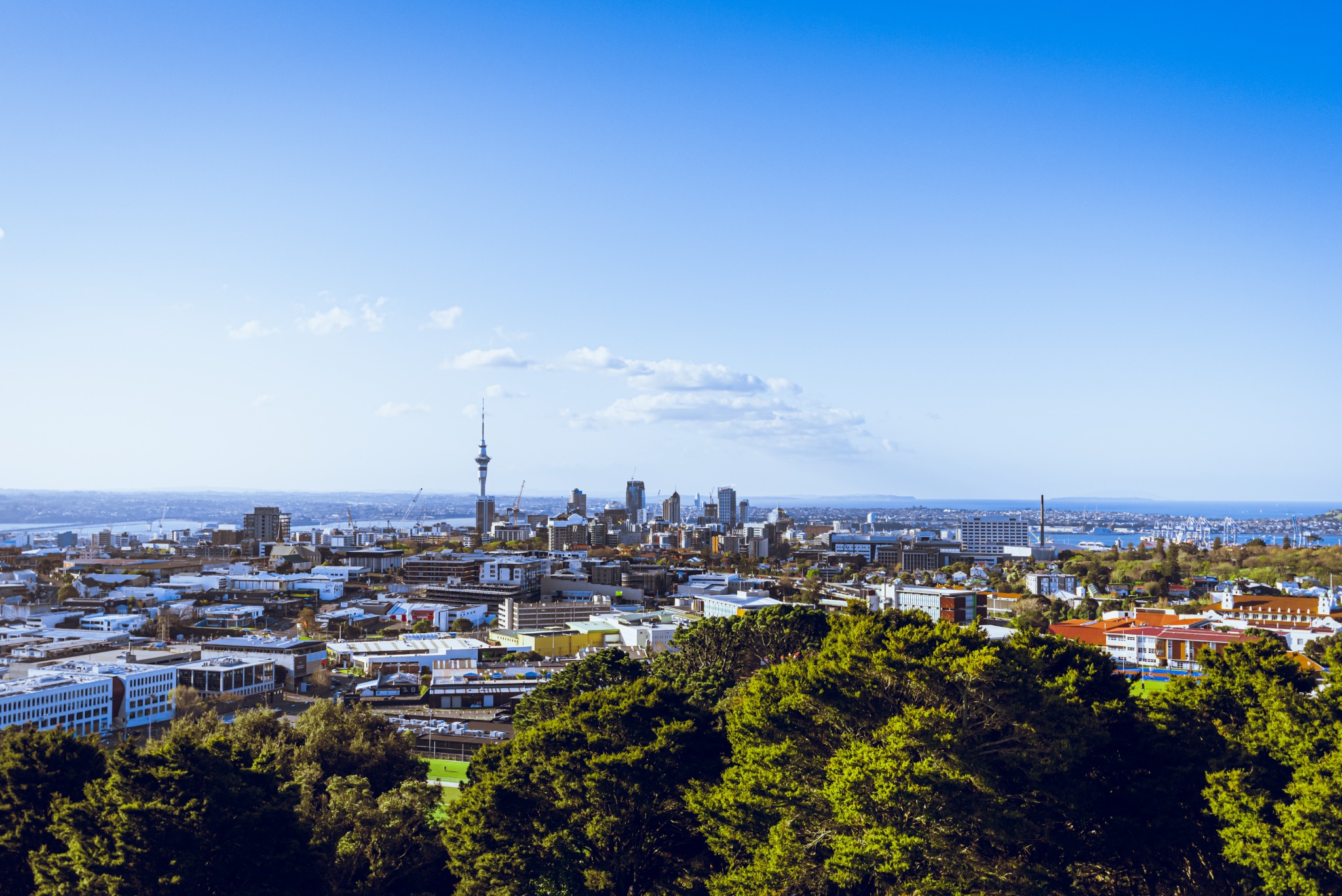 Auckland city skyline
